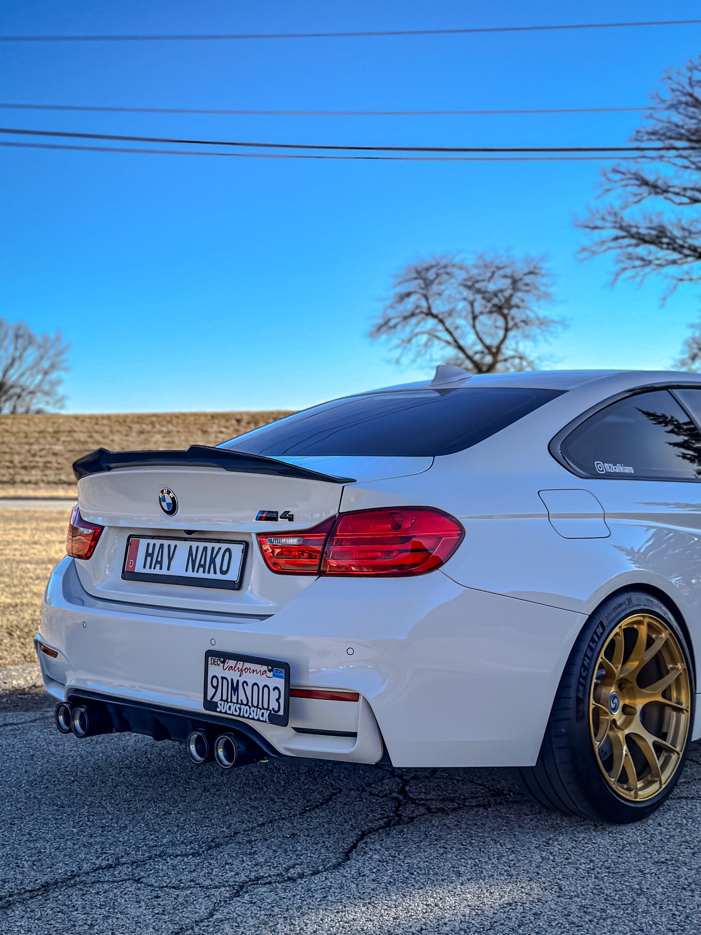PSM Style Carbon Fiber Trunk Spoiler | F82 M4