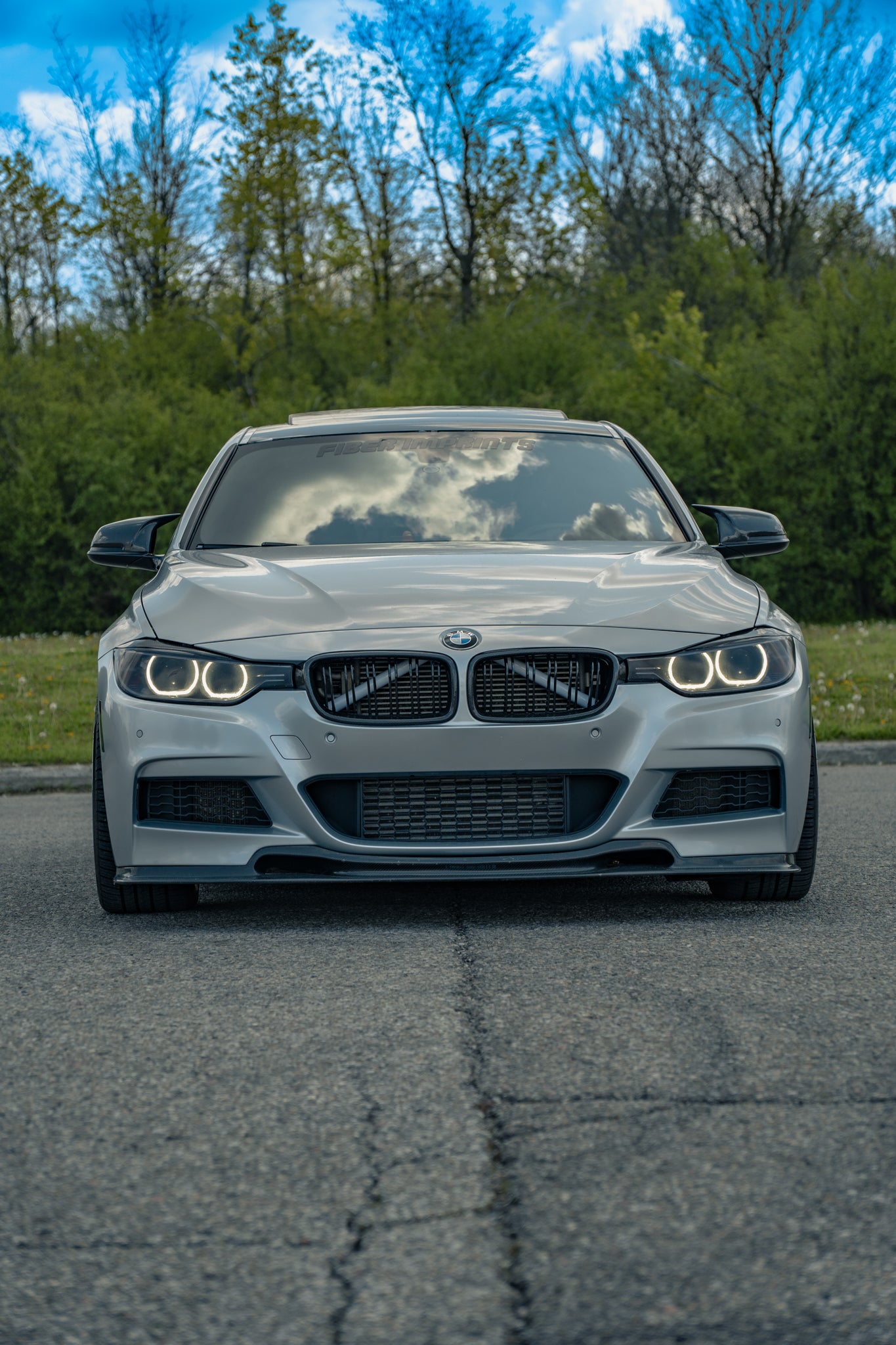 BMW M Style Carbon Fiber Front Grille (3 Series)
