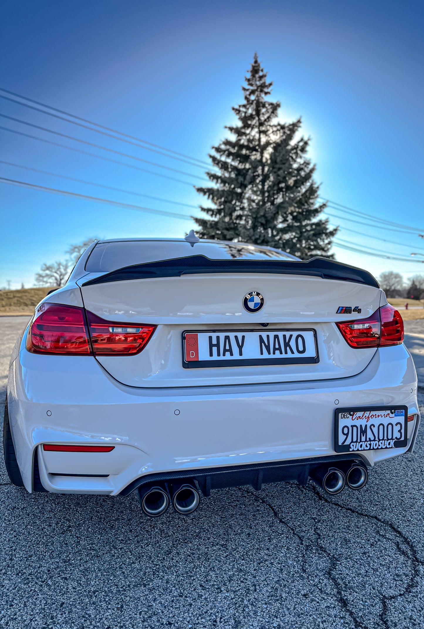 BMW Carbon Fiber PSM Style Trunk Spoiler For M4(F82)